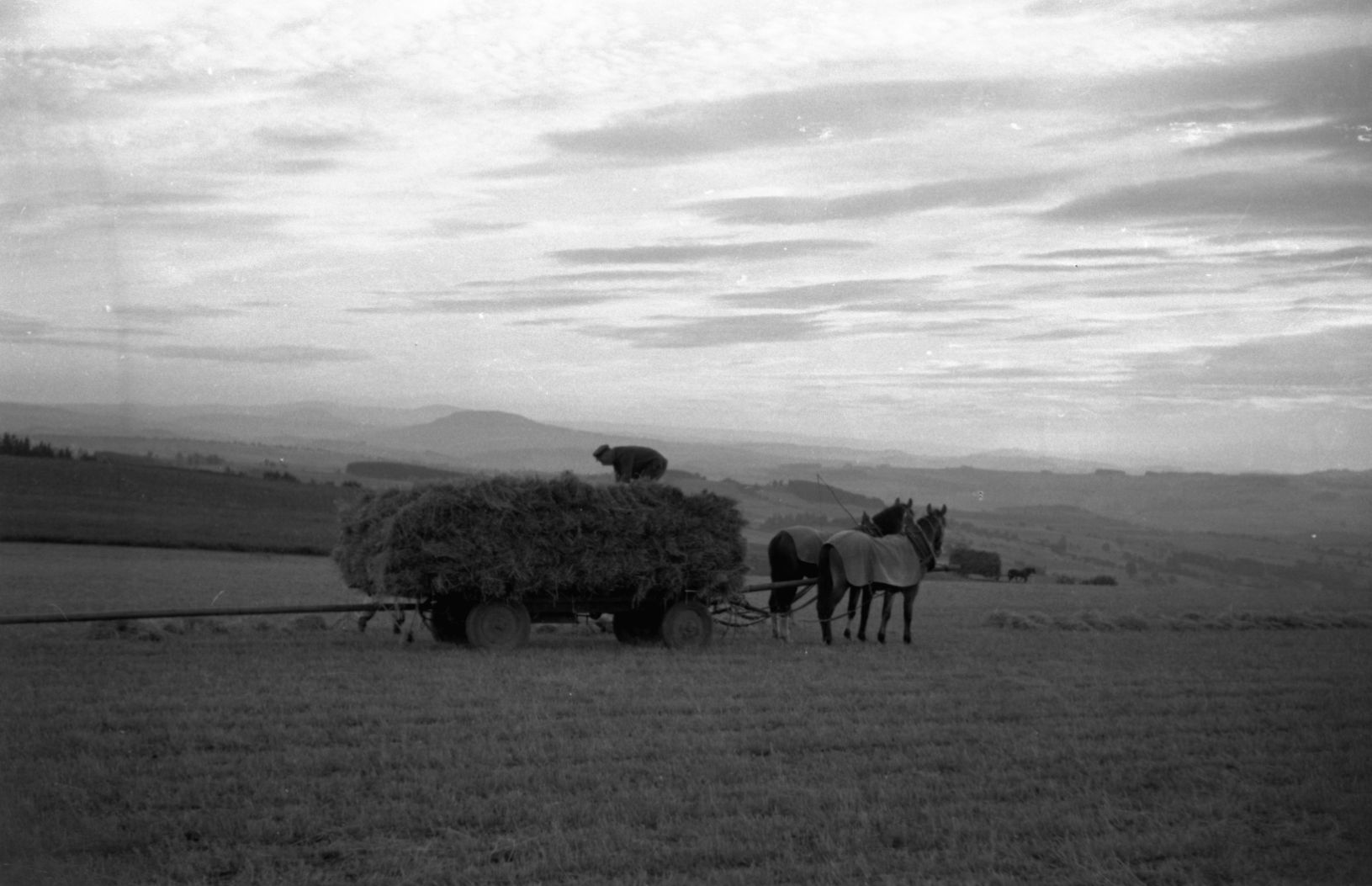 Großolbersdorf Hintergrund